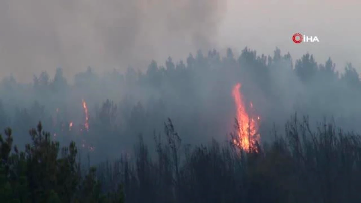 Tekirdağ\'daki yangında 300 hektar ormanlık alan küle döndü