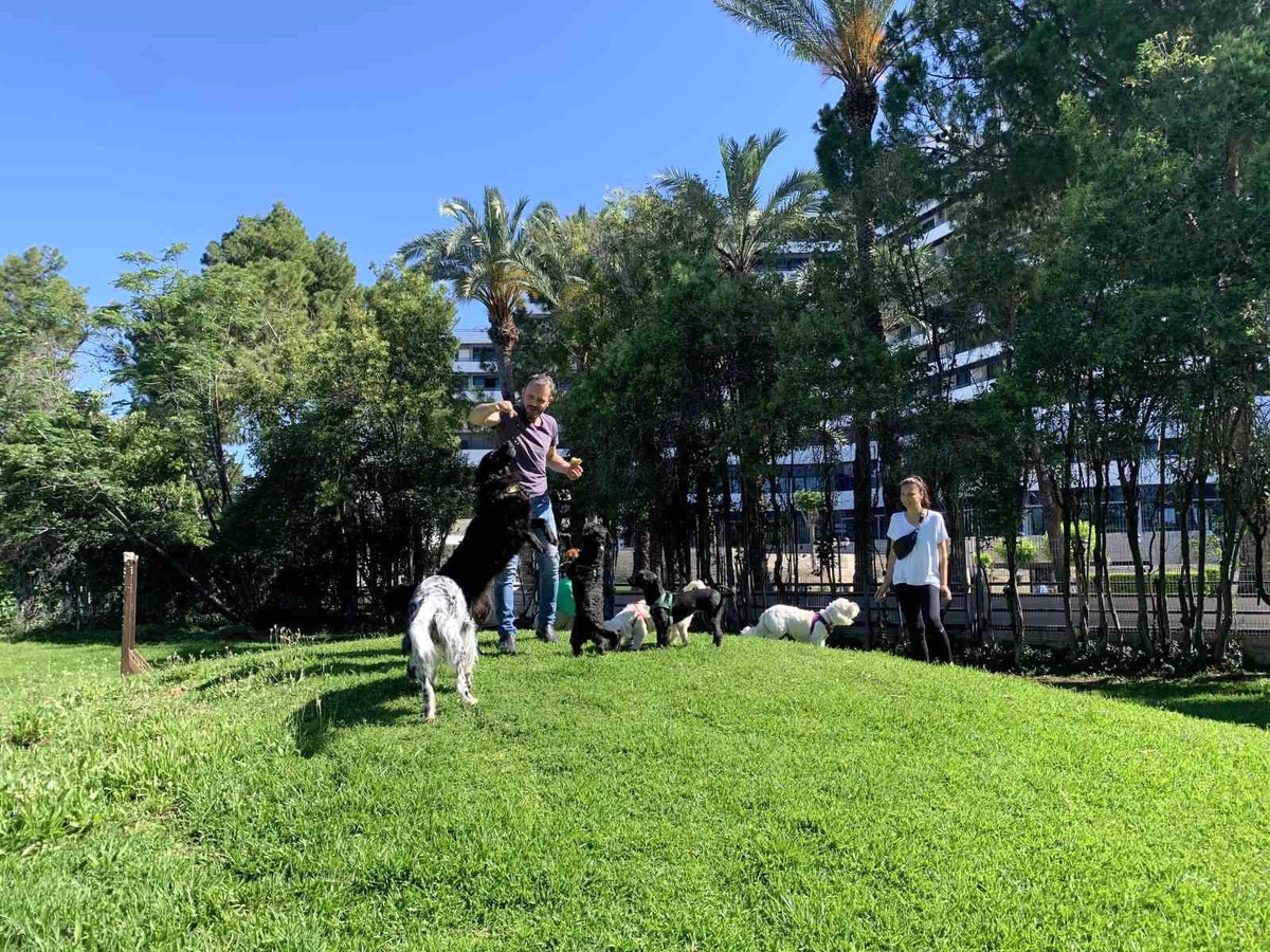 Antalya Büyükşehir Belediyesi, Atatürk Kültür Parkı\'ndaki Köpek Parkını Yeniledi