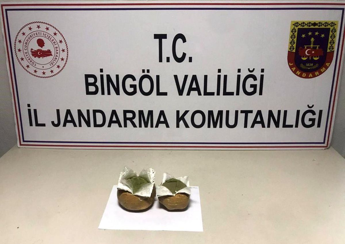 Bingöl\'de Jandarma Operasyonunda 2 Bin 507 Kök Kenevir Ele Geçirildi