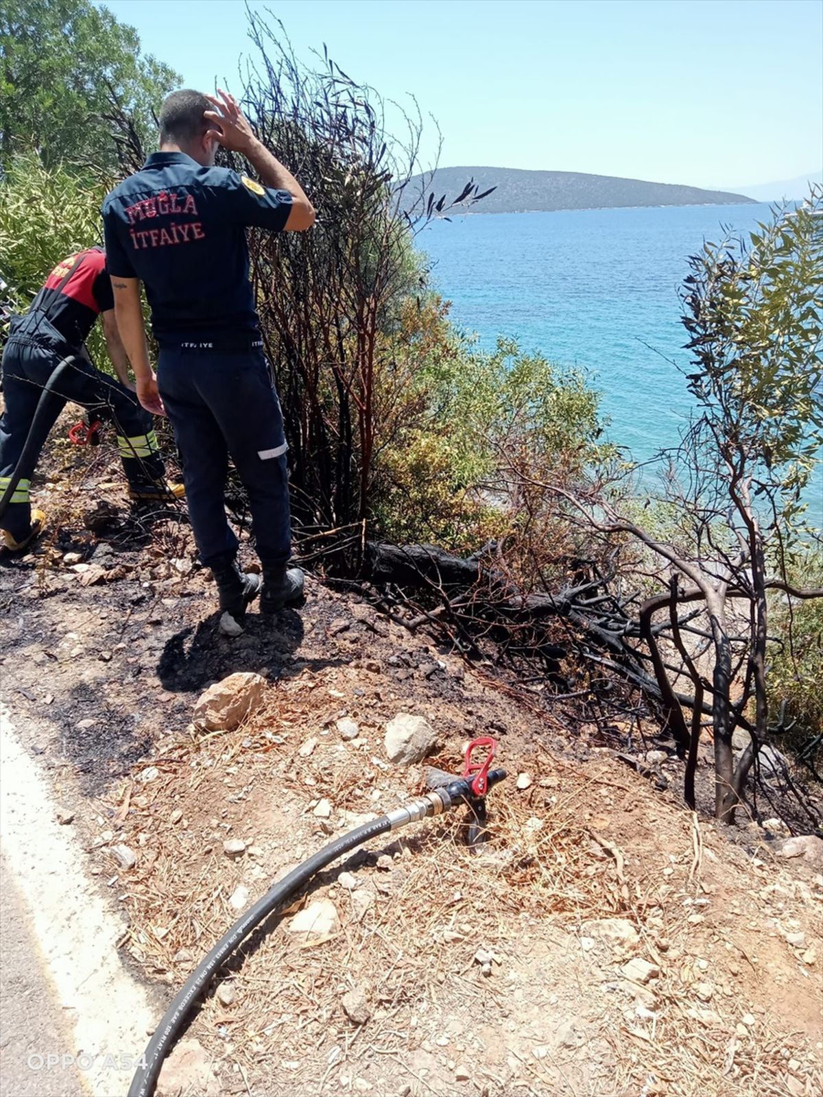 Bodrum\'da Yangın Çıkaran Şüpheli Gözaltına Alındı