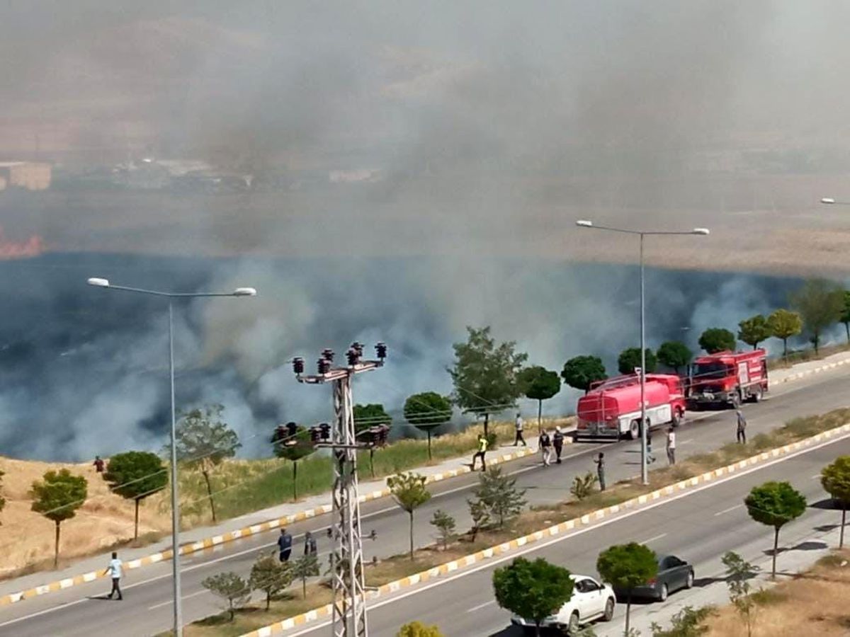 Van\'ın Tuşba ilçesinde çıkan yangında buğday tarlası alev alev yandı