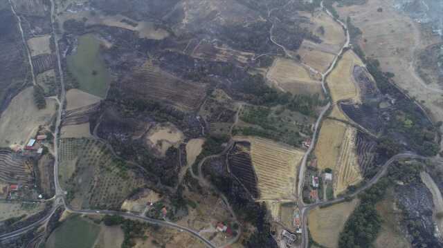 Çanakkale'de roman yangınında 38 saat geride kaldı! Alevler her yeri kül etti, bölgenin son hali içler acısı Çanakkale'de roman yangınında 38 saat geride kaldı! Alevler her yeri kül etti, bölgenin son hali içler acısı