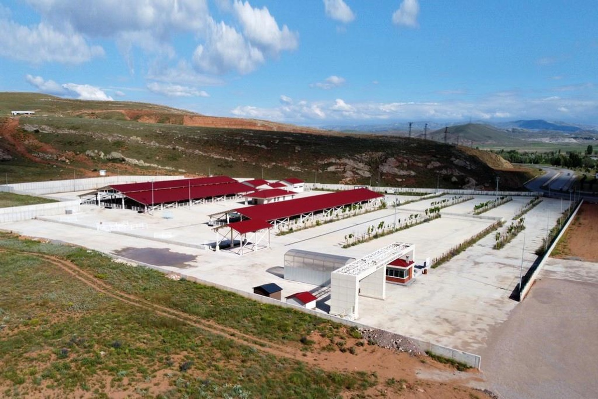 Sivas Canlı Hayvan Pazarı ve Ot Borsası Sivas Damızlık Sığır Yetiştiricileri Birliğine devredildi