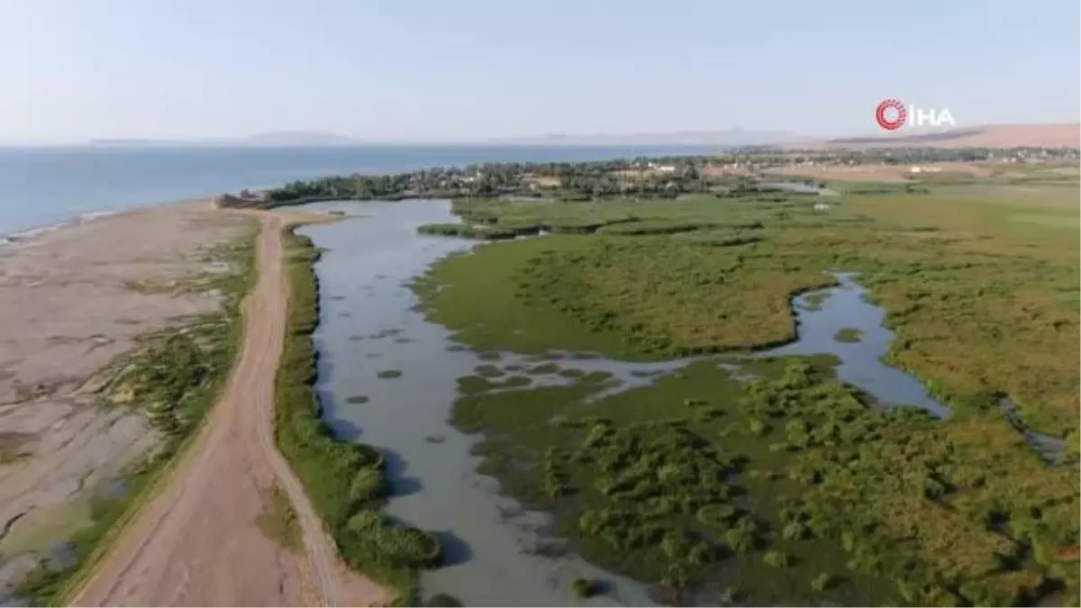 Dilkaya deltası doğal güzelliği ile hayran bırakıyor