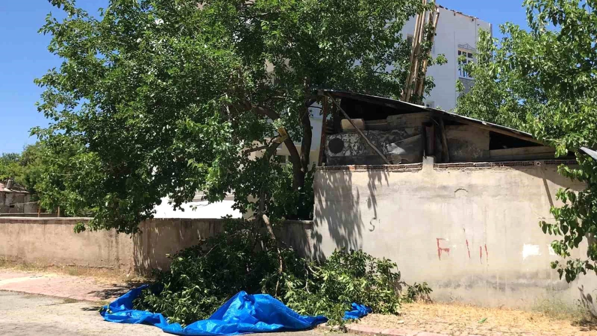 Elazığ\'da Dut Silkelerken Ağaç Dalının Kırılması Sonucu Yaralanan Adam Hayatını Kaybetti