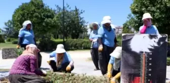 Adana'da Kadın Peyzaj İşçileri Sıcak Havada Zorlu Mesailerine Devam Ediyor