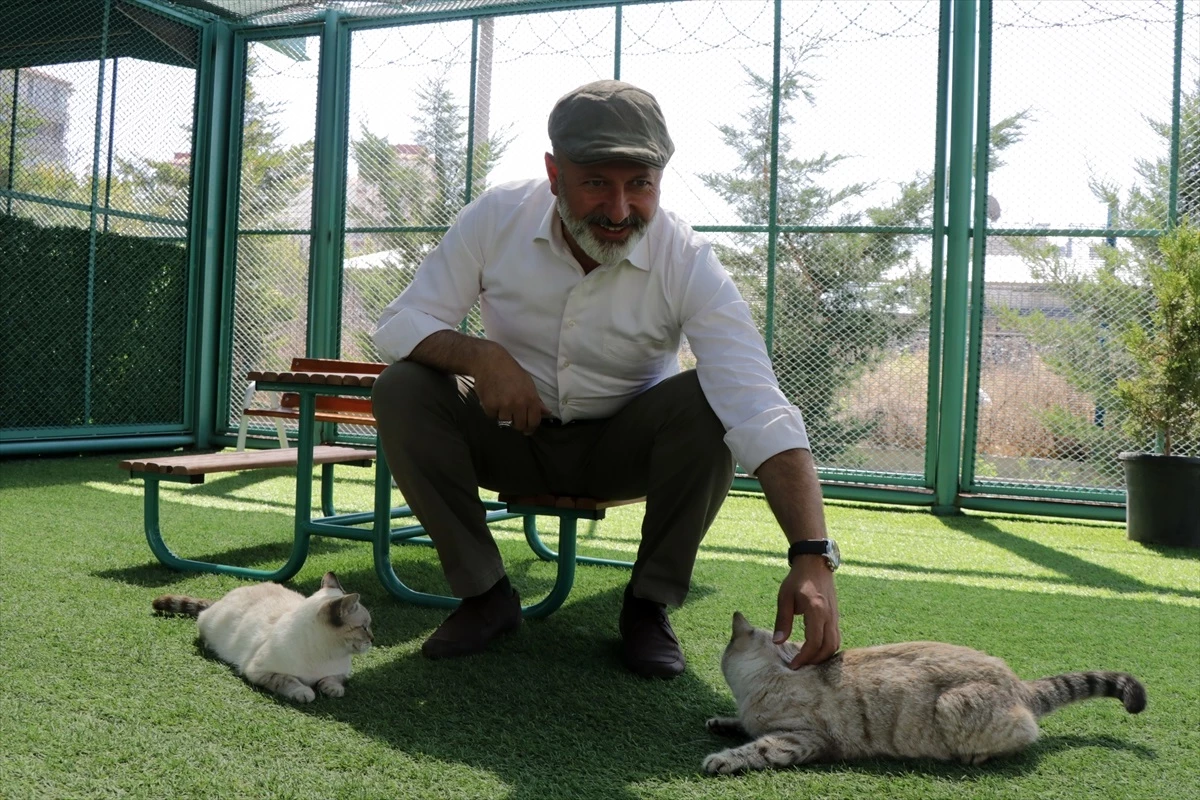 Kayseri\'de Kedi Kasabası\'nda Kedilere Özel Bakım Uygulanıyor