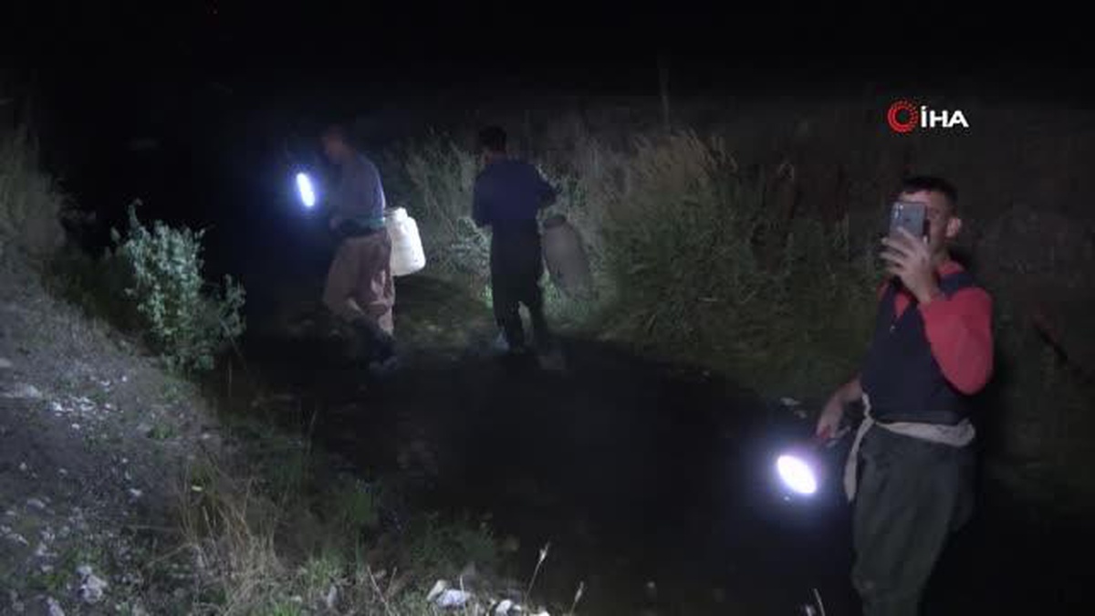 Muş\'ta gece el fenerleriyle kurbağa avlayan avcılar şaşırttı