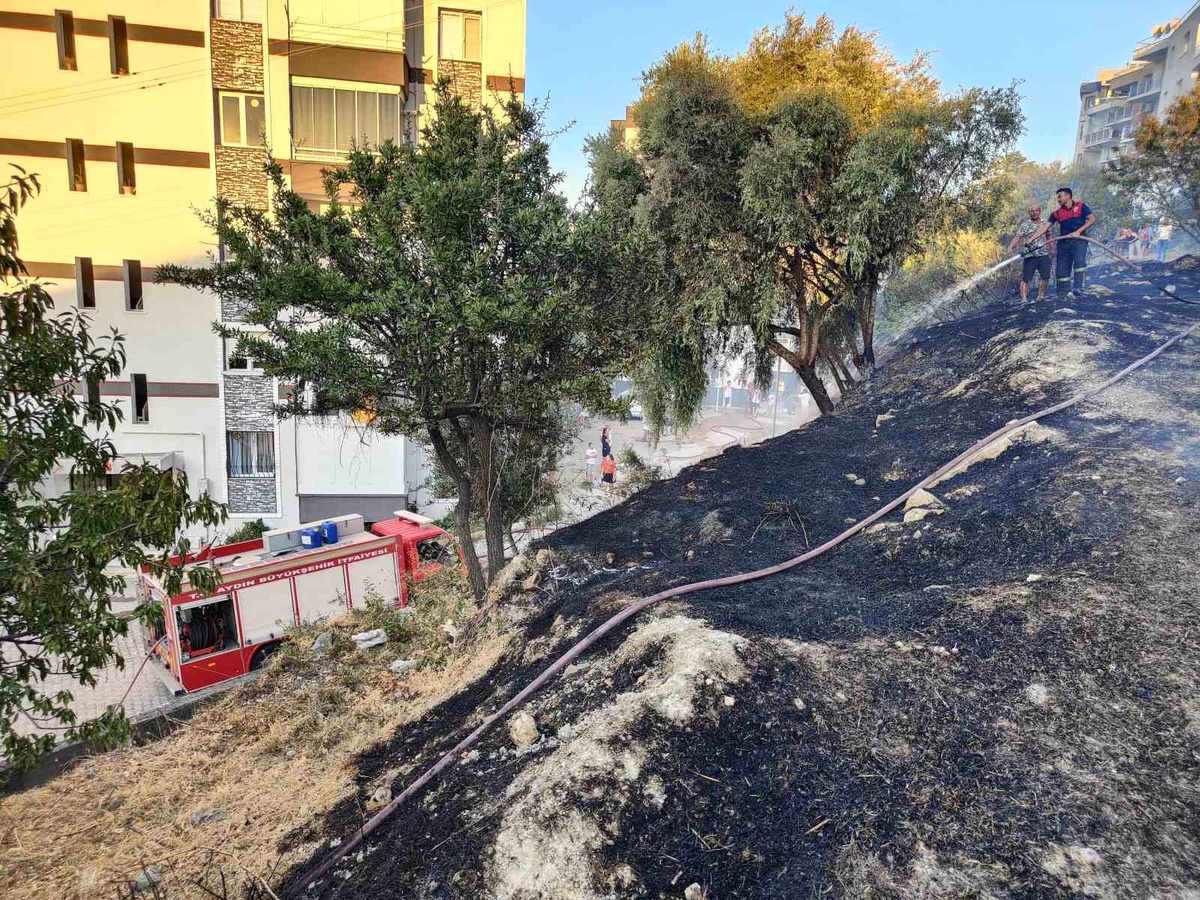 Kuşadası\'nda Ağaçlık ve Çalılık Alanında Yangın Çıktı