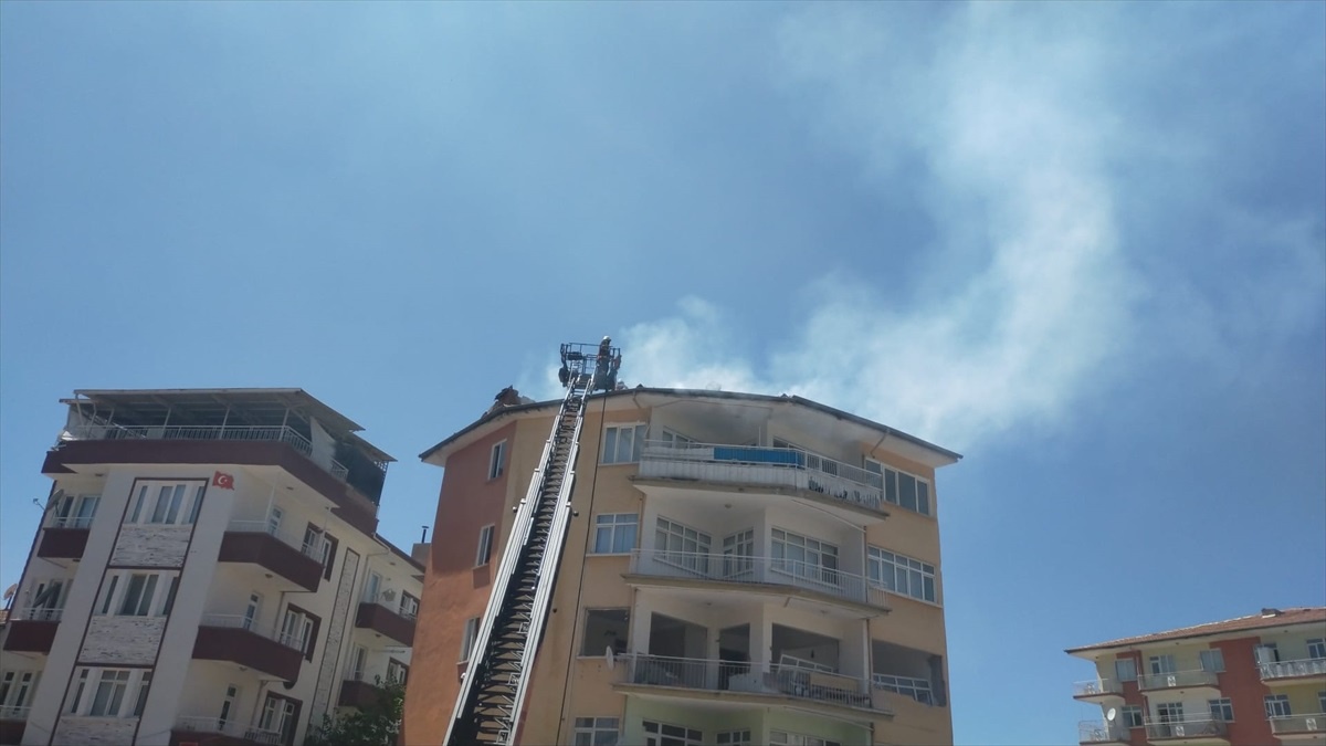 Malatya\'da çıkan yangında itfaiye ekipleri güvercinleri kurtardı