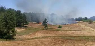 Mersin'de Tarlada Çıkan Anız Yangını Söndürüldü