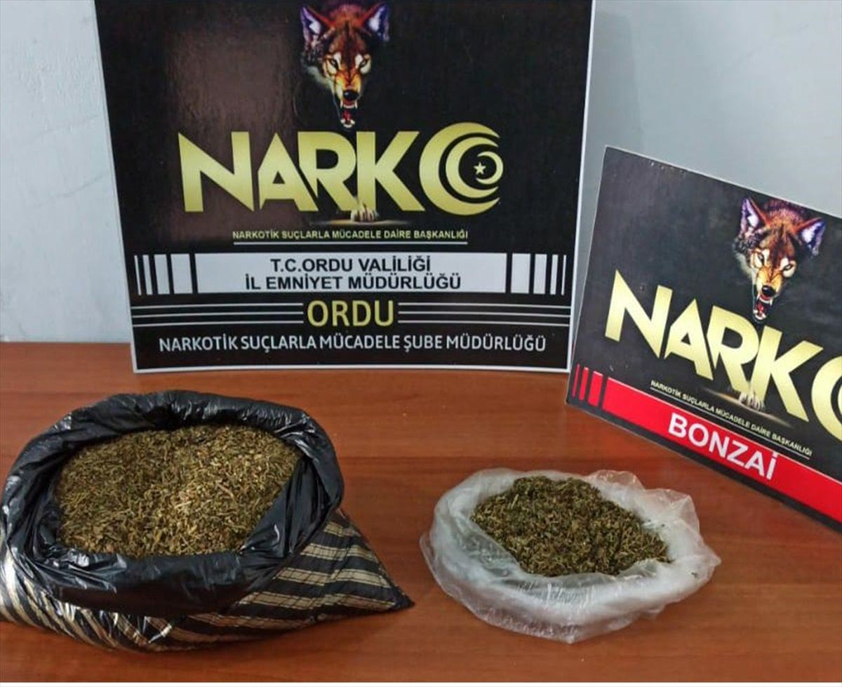 Ordu\'da yolcu otobüsünde ele geçirilen uyuşturucuya ilişkin 1 kişi tutuklandı