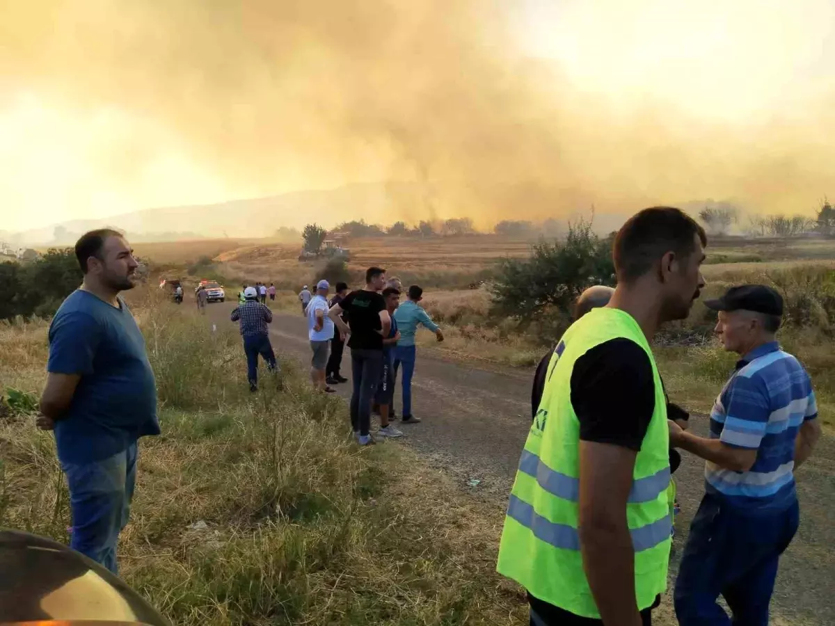 Tekirdağ Malkara\'da çıkan orman yangını kontrol altına alındı