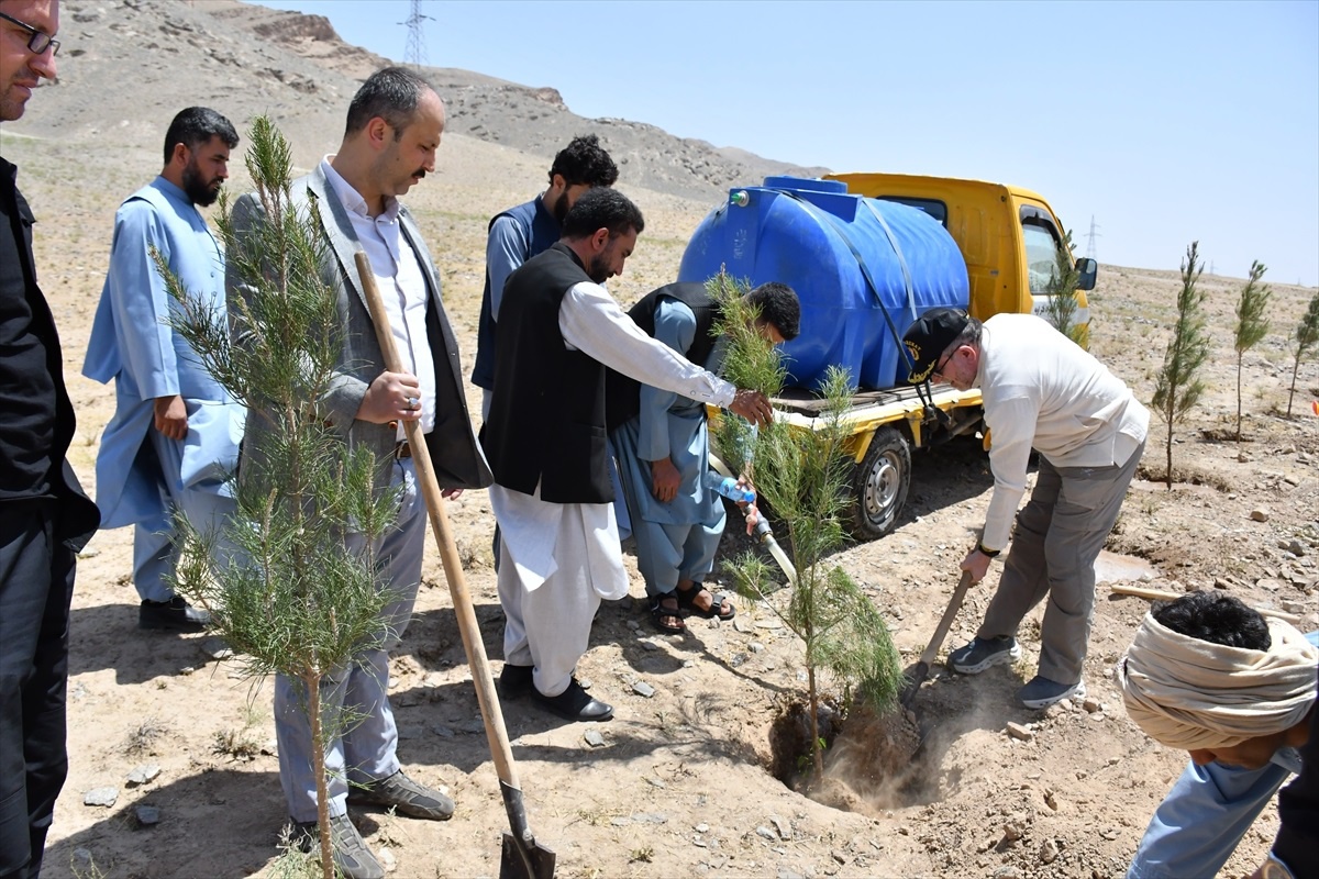 Afganistan\'da 15 Temmuz şehitleri anısına 252 çam fidanı dikildi