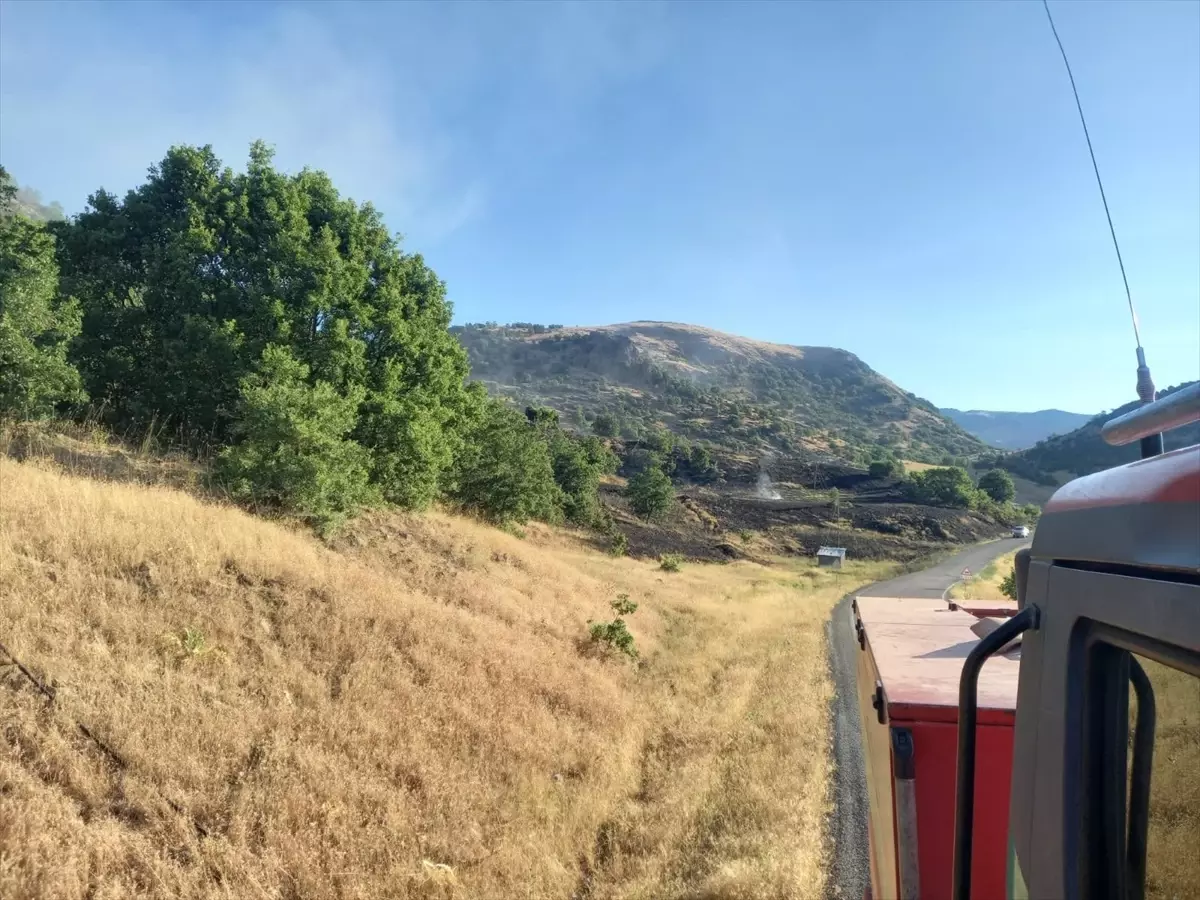 Tunceli\'de ormanlık alanda çıkan yangın söndürüldü