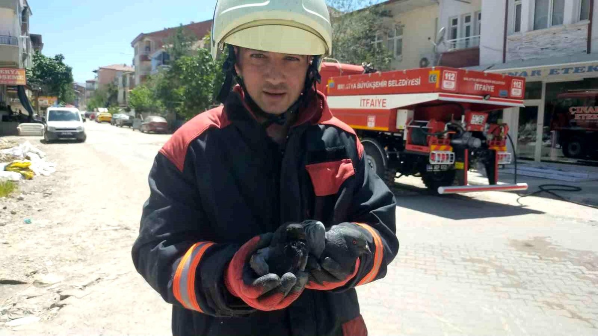 Malatya\'da çatı yangınında etkilenen güvercinler kurtarıldı