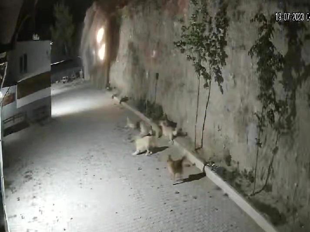 Denizli\'de Otomobil Uçuruma Yuvarlandı: 2 Kişi Öldü