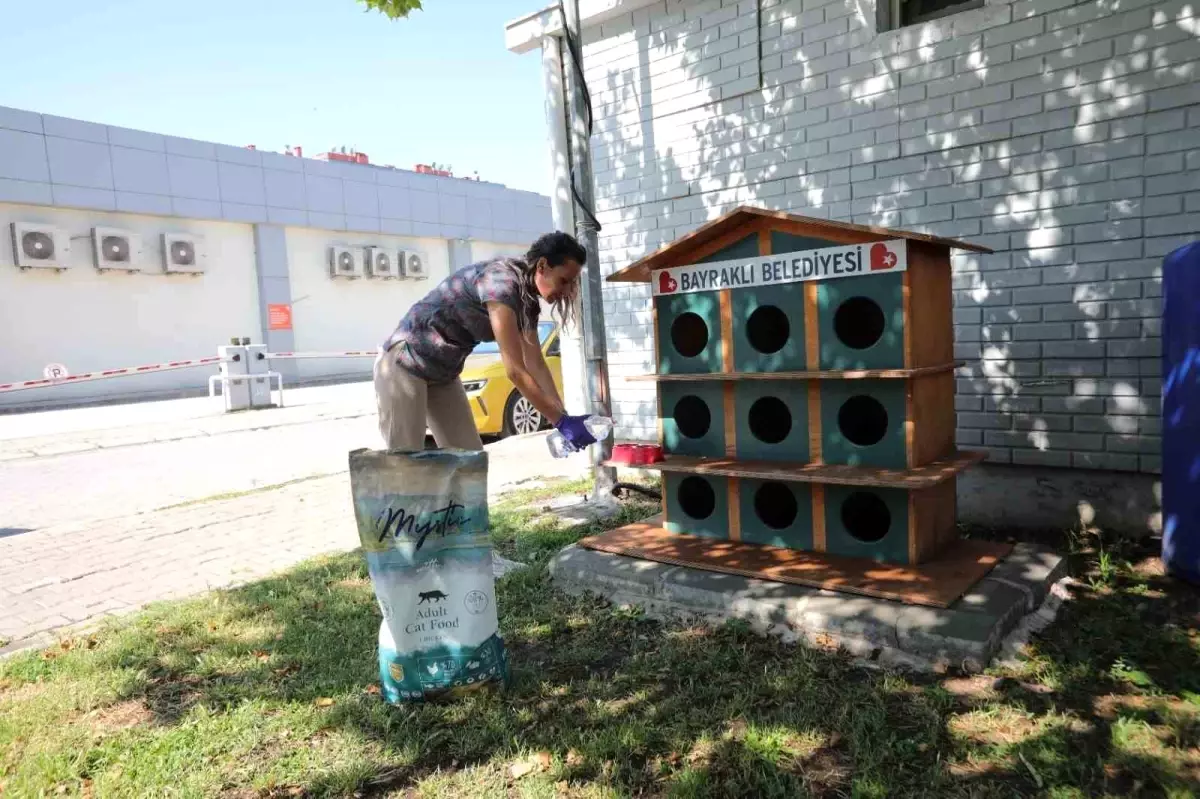 Bayraklı Belediyesi Sokak Hayvanları İçin Kampanya Başlattı