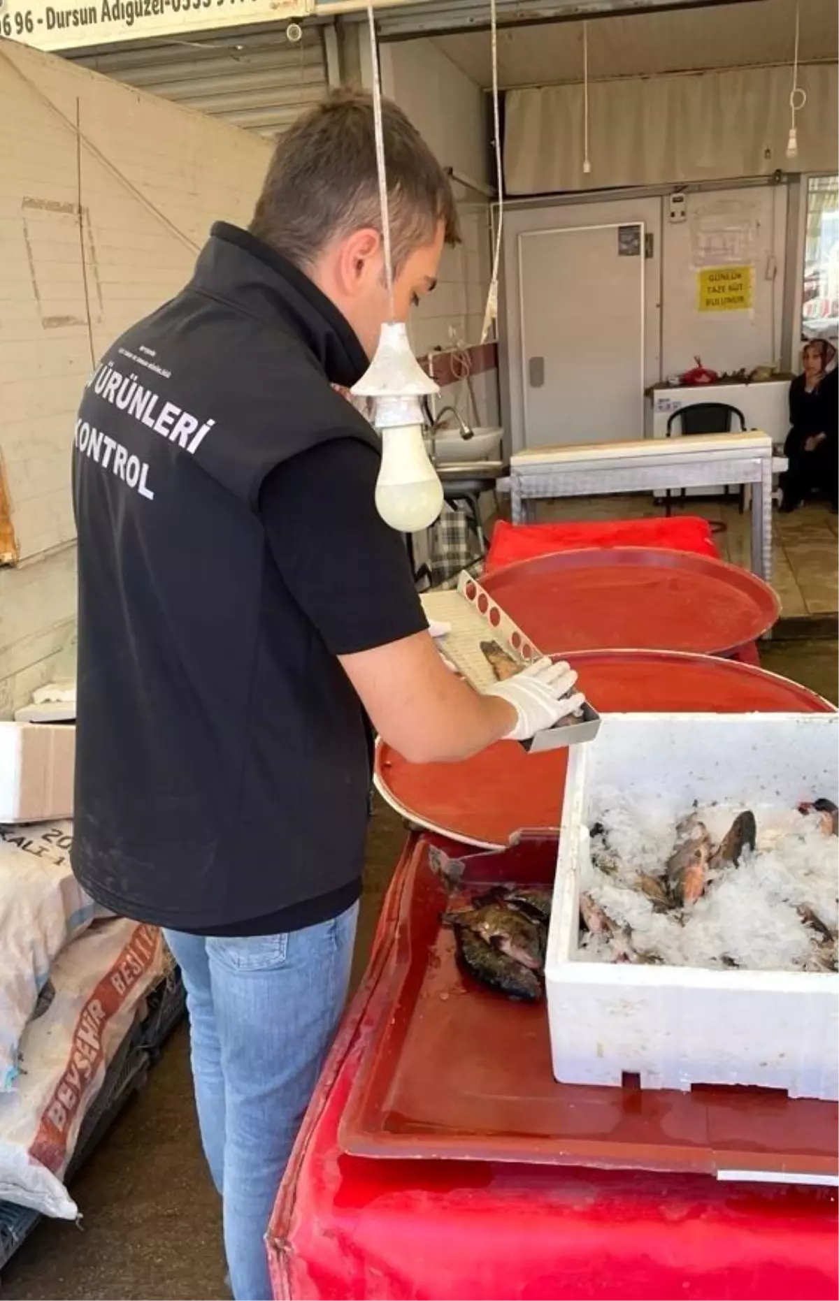 Beyşehir\'de Balık Satış Noktaları ve Alım Kantarları Denetlendi