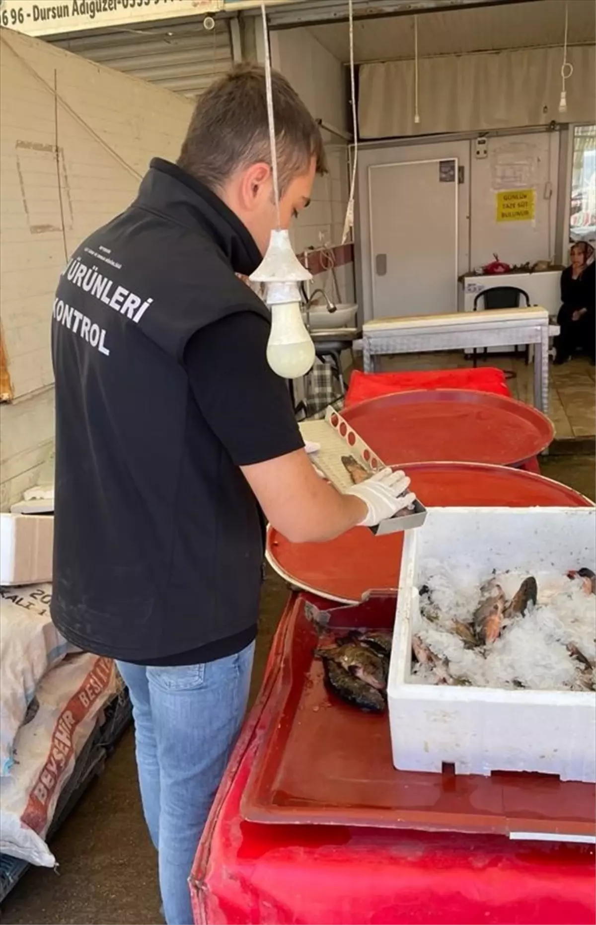 Beyşehir\'de Balık Satış Noktaları ve Balık Alım Kantarları Denetlendi