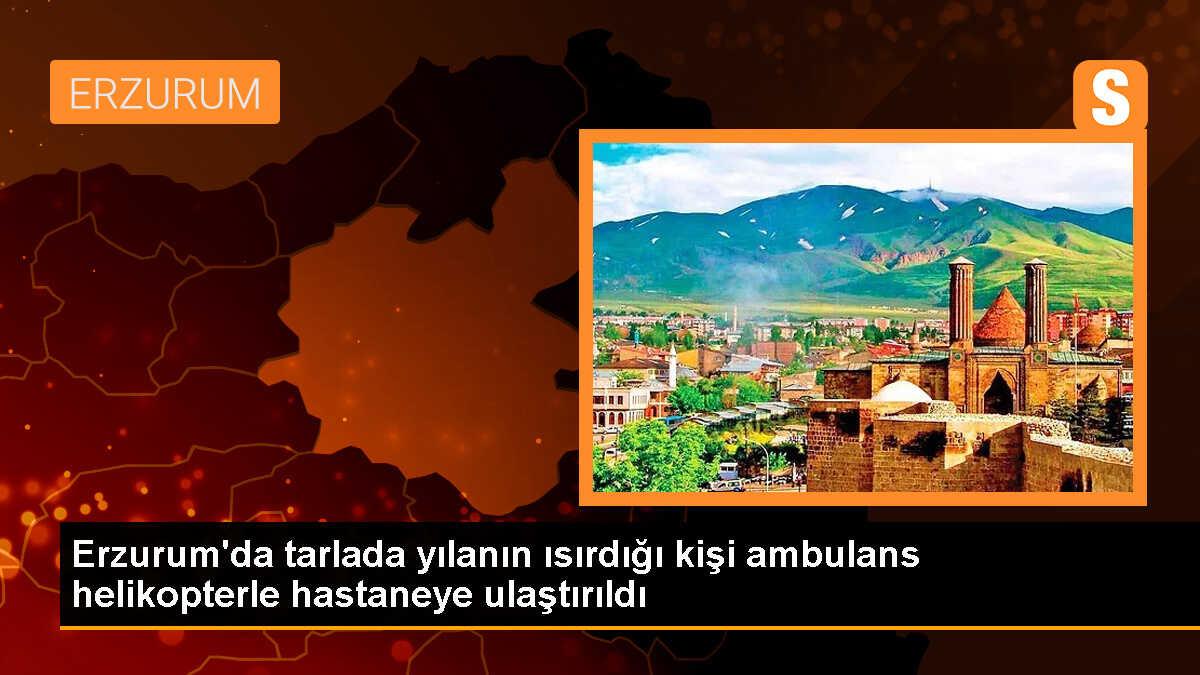 Erzurum\'da Yılan Isırdı, Kişi Ambulans Helikopterle Hastaneye Kaldırıldı