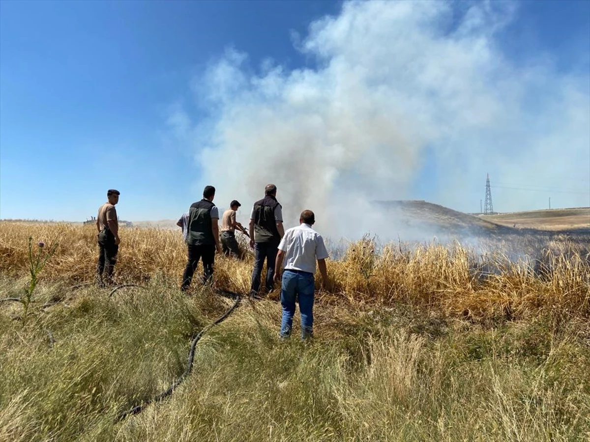 Eskişehir Seyitgazi\'de Yangın: 30 Dönüm Arpa Ekili Alan Zarar Gördü