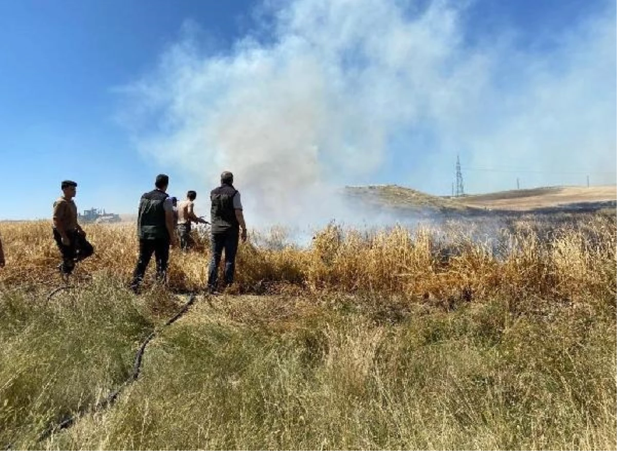 Seyitgazi\'deki Arpa Tarlasında Yangın Kontrol Altına Alındı