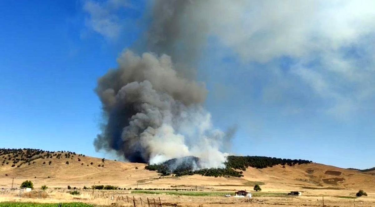 Gaziantep\'te Orman Yangını: Helikopter ve Uçaklarla Müdahale Ediliyor