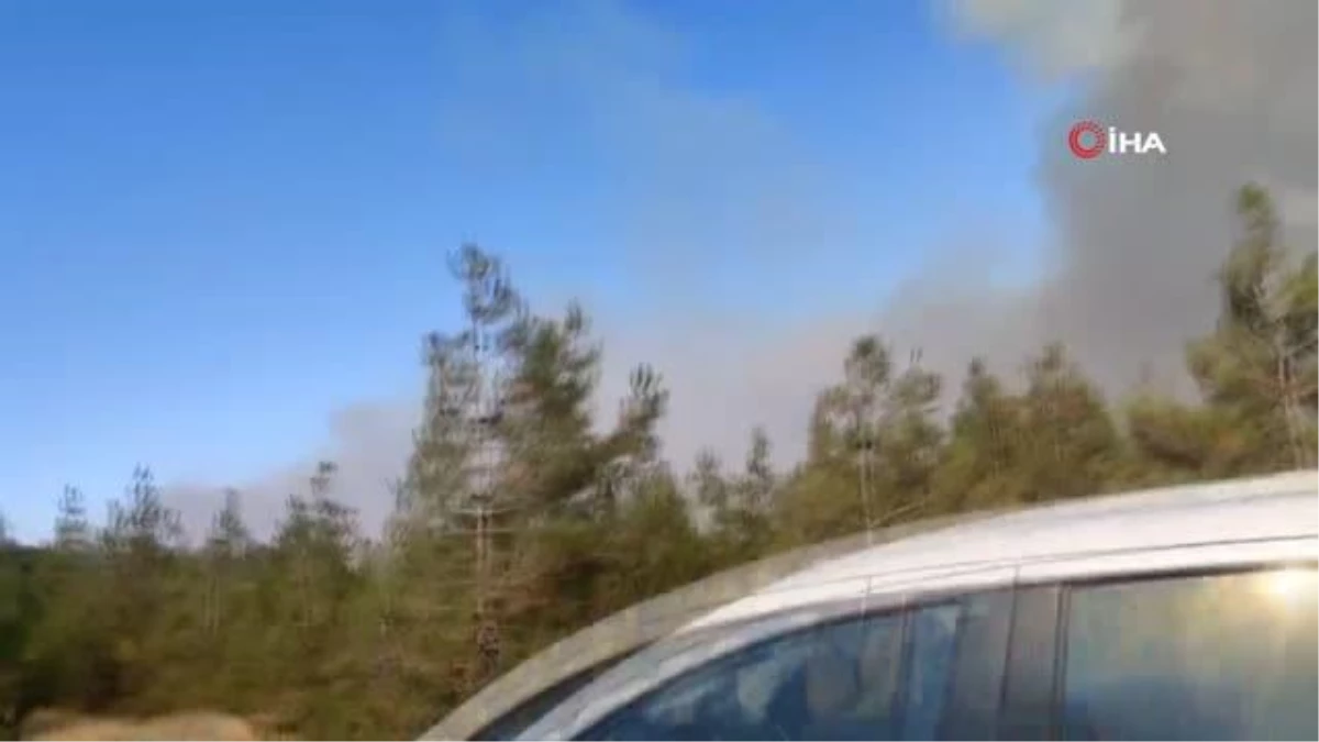 Gaziantep\'te korkutan orman yangını: Havadan ve karadan müdahale ediliyor