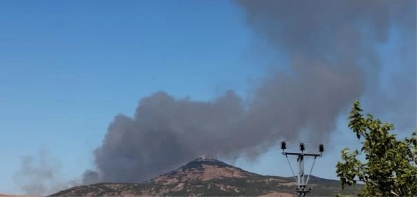 Gaziantep\'te Orman Yangını Çıktı