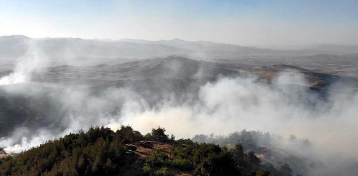 Gaziantep\'te Orman Yangınına Havadan ve Karadan Müdahale Sürüyor