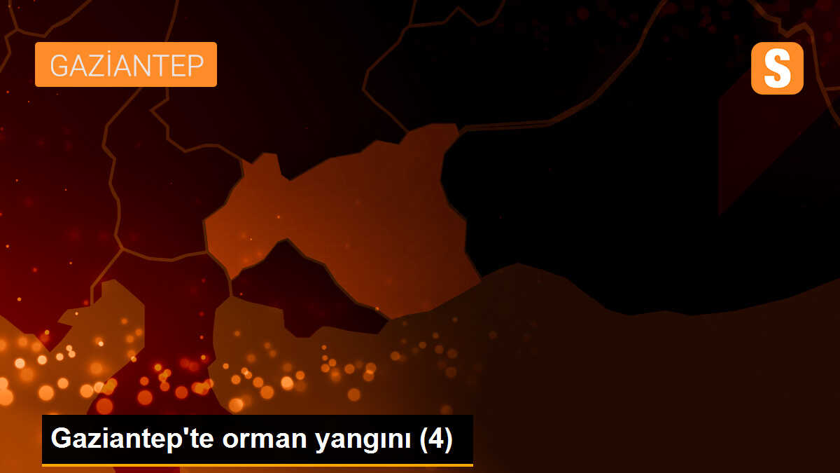 Gaziantep\'te orman yangını (4)