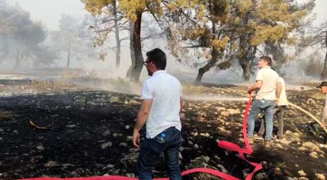 Gaziantep'te Orman Yangınına Havadan ve Karadan Müdahale Gaziantep'te Orman Yangınına Havadan ve Karadan Müdahale