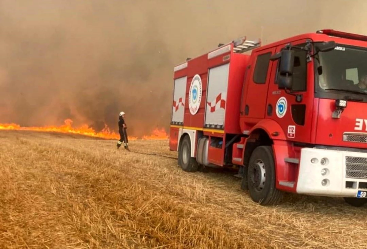 Tekirdağ\'ın Hayrabolu ilçesinde çıkan yangında 40 dönüm ekili buğday kül oldu