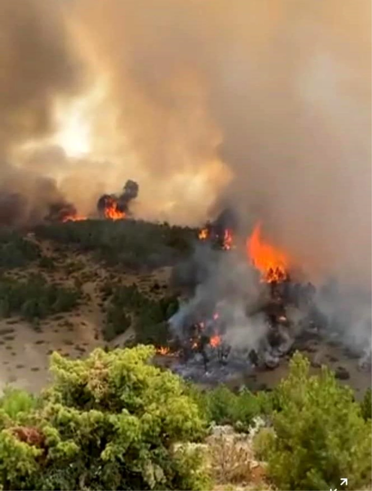 Denizli Honaz\'da Orman Yangını Kontrol Altına Alındı
