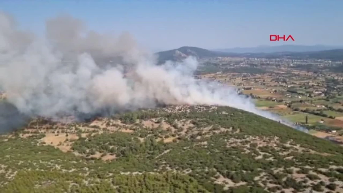 Muğla\'da Tarım Arazisinde Çıkan Yangın Ormana Sıçradı