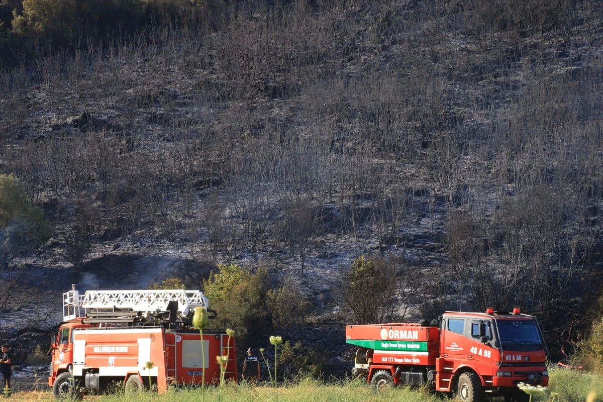 Muğla\'da çıkan yangında 2 hektar alan zarar gördü
