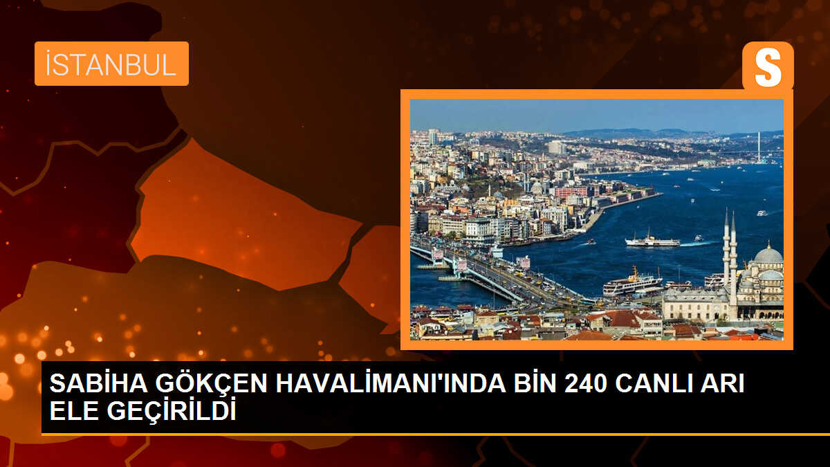 Sabiha Gökçen Havalimanı\'nda Bin 240 Canlı Arı Ele Geçirildi