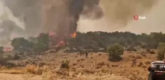 Yunanistan'da son 24 saatte 66 yangın, Atina ve Rodos'taki yangınlar sürüyor