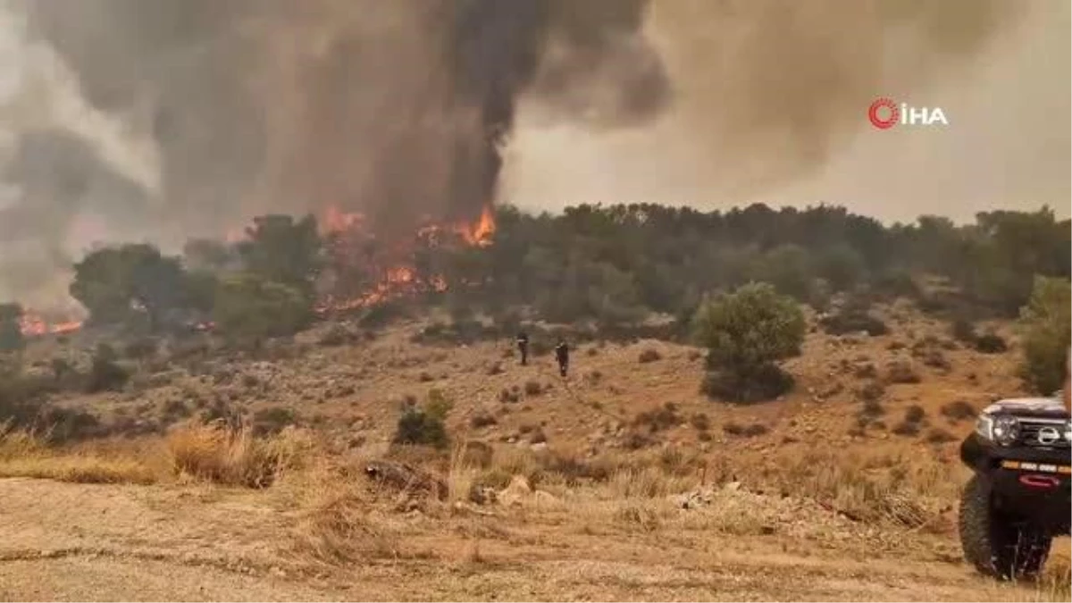 Yunanistan\'da son 24 saatte 66 yangın, Atina ve Rodos\'taki yangınlar sürüyor