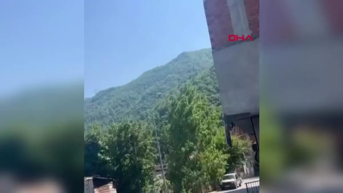 Artvin Borçka\'da Dere Kenarında İnsana Ait Kopmuş Ayak Bulundu