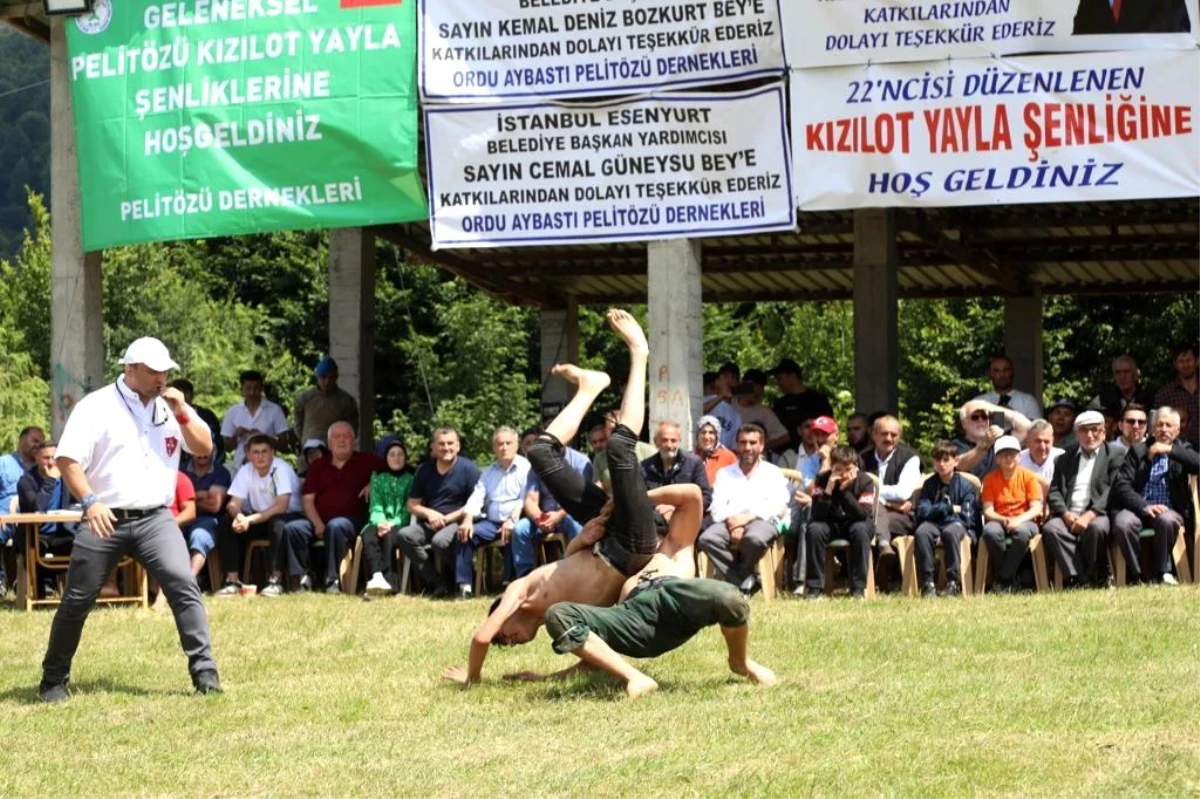 Ordulu Mustafa Pehlivan Yağlı Güreş ve Kültür Festivali Başladı