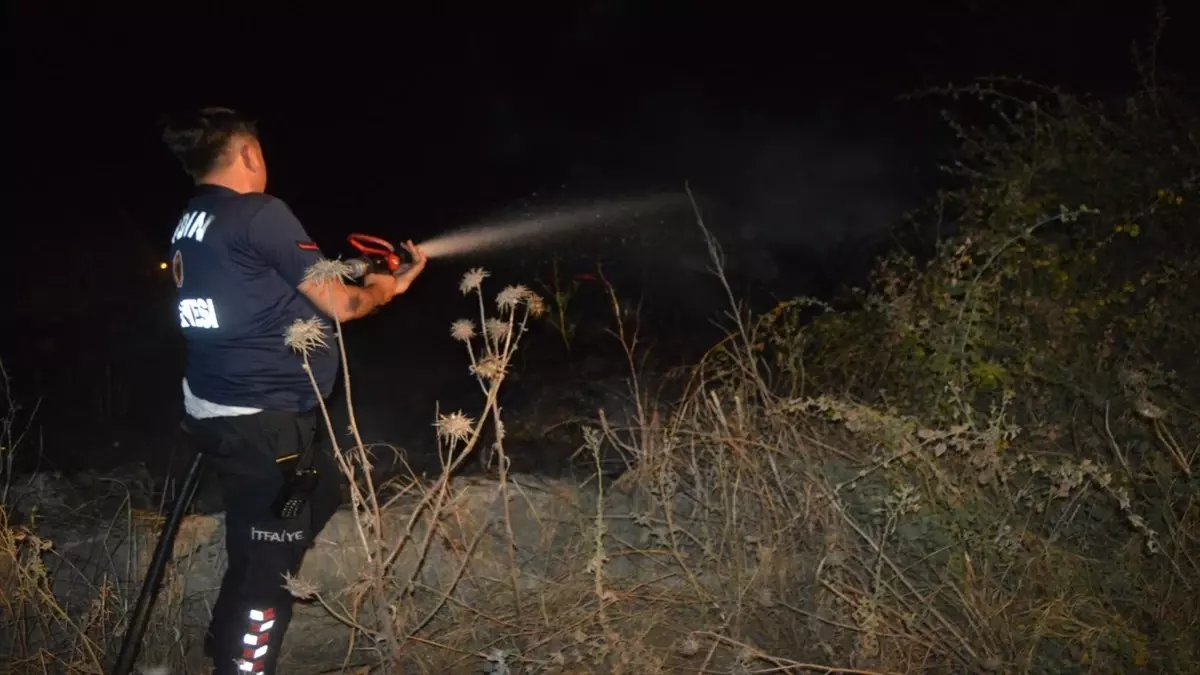 Aydın'ın Çine ilçesinde çıkan yangın söndürüldü