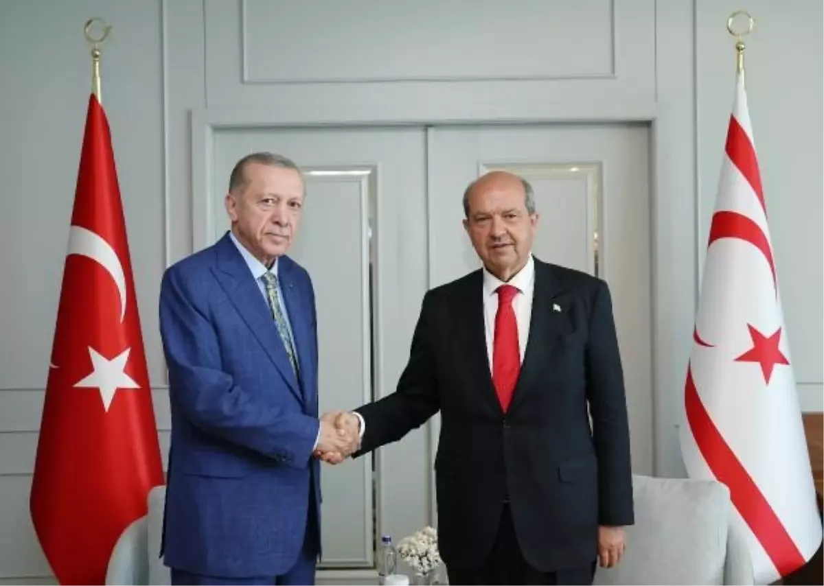 Cumhurbaşkanı Erdoğan, KKTC Cumhurbaşkanı Tatar ile görüştü