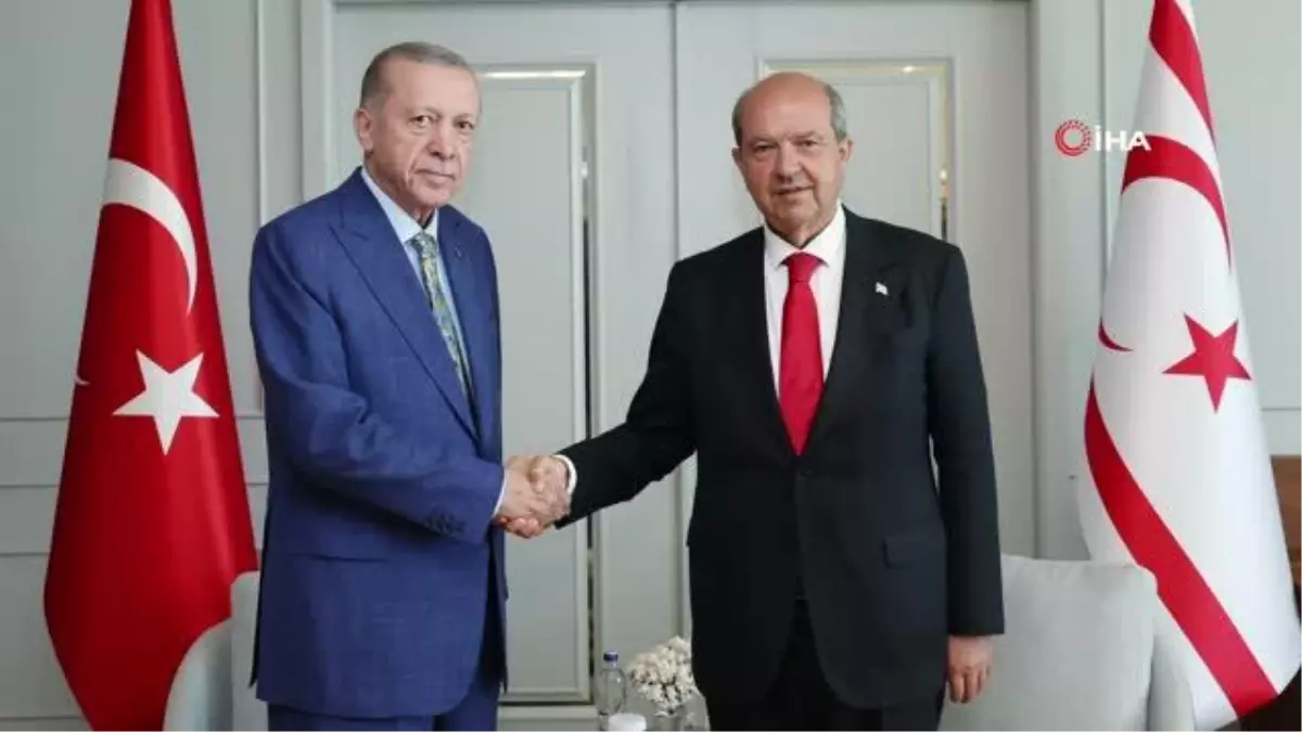 Cumhurbaşkanı Erdoğan, Tatar ile görüştü