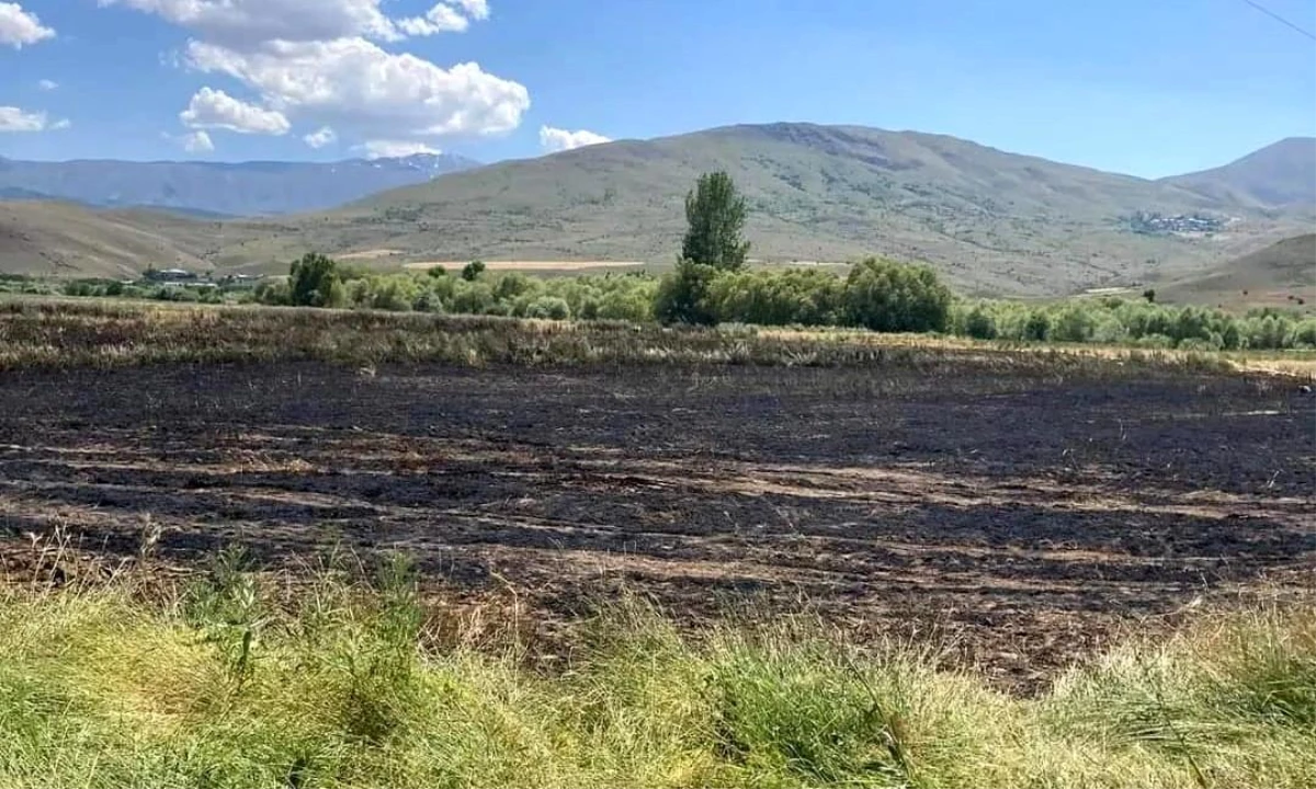 Erzincan\'ın Tercan ilçesinde arazi yangını