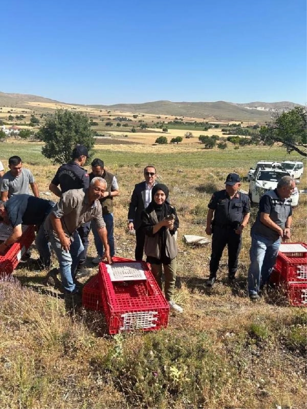 Eskişehir\'de 600 Kınalı Keklik Doğaya Bırakıldı