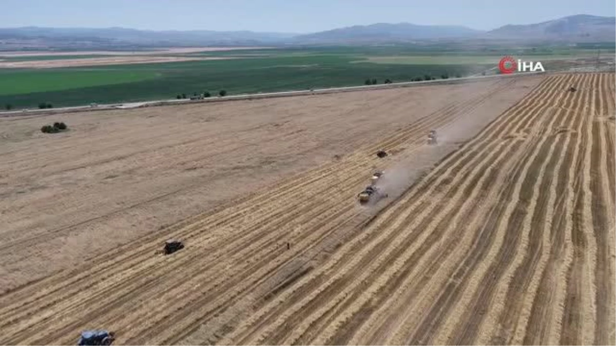 Gökhöyük\'te buğday hasadı bereketli başladı: 5 bin ton üretim bekleniyor