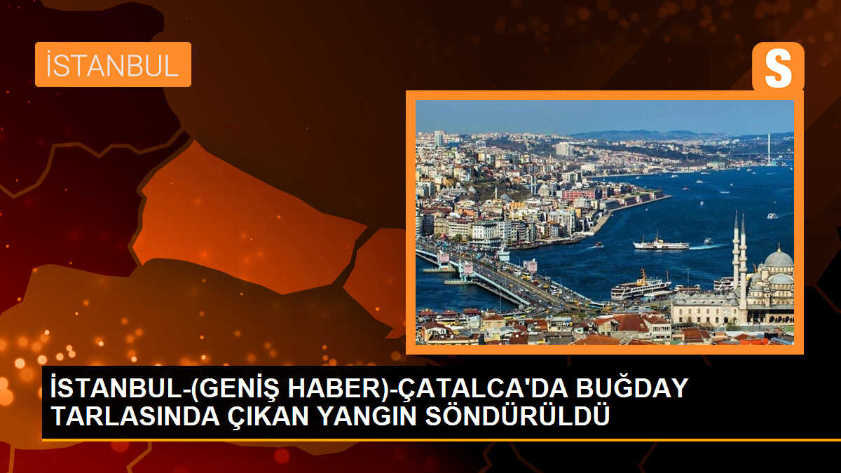 Çatalca\'da Buğday Tarlasında Çıkan Yangın Kontrol Altına Alındı