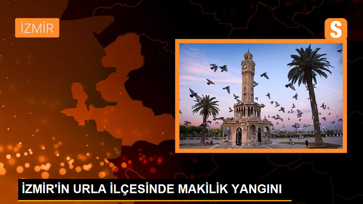 Urla\'da Makilik Alanda Yangın Çıktı